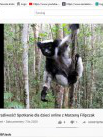 Projekty: Madagaskar - niezwykły świat lemurów - Zdjęcie nr 4